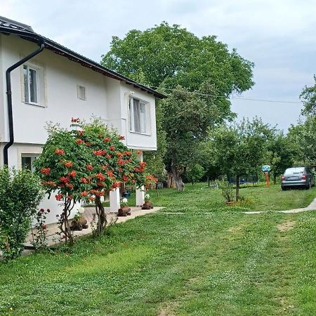 Гостевой дом Casa Pandrea Кырцишоара Экстерьер фото