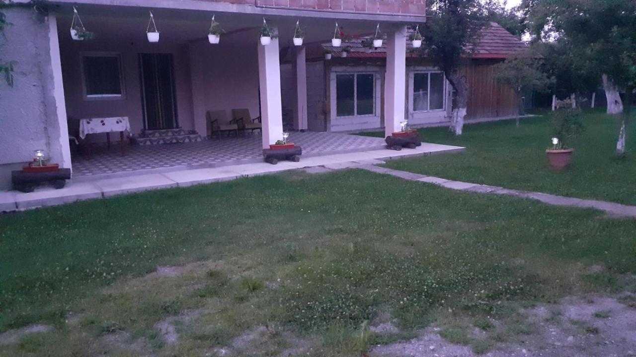 Гостевой дом Casa Pandrea Кырцишоара Экстерьер фото