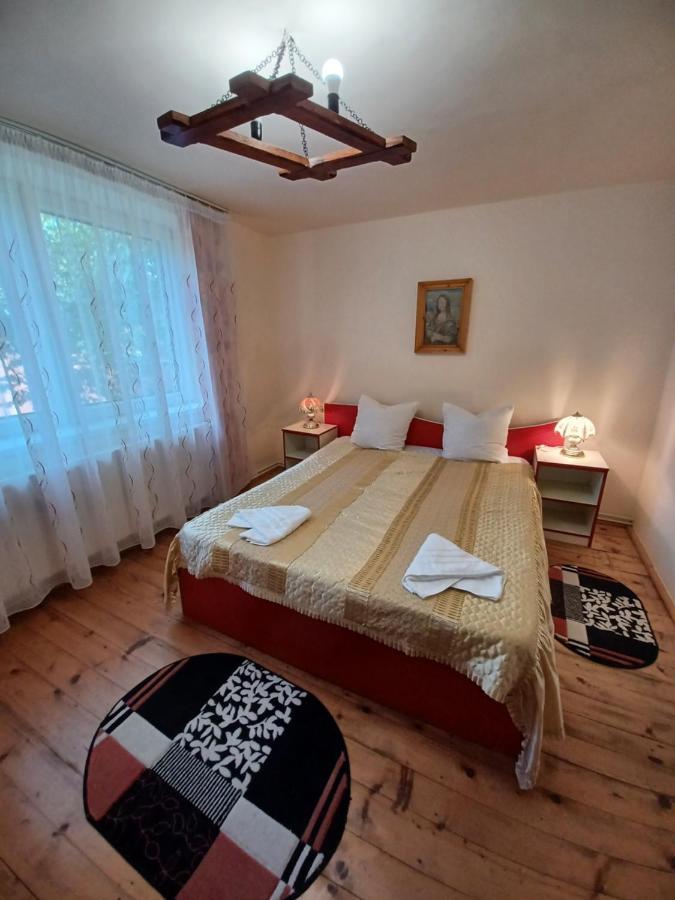 Гостевой дом Casa Pandrea Кырцишоара Экстерьер фото