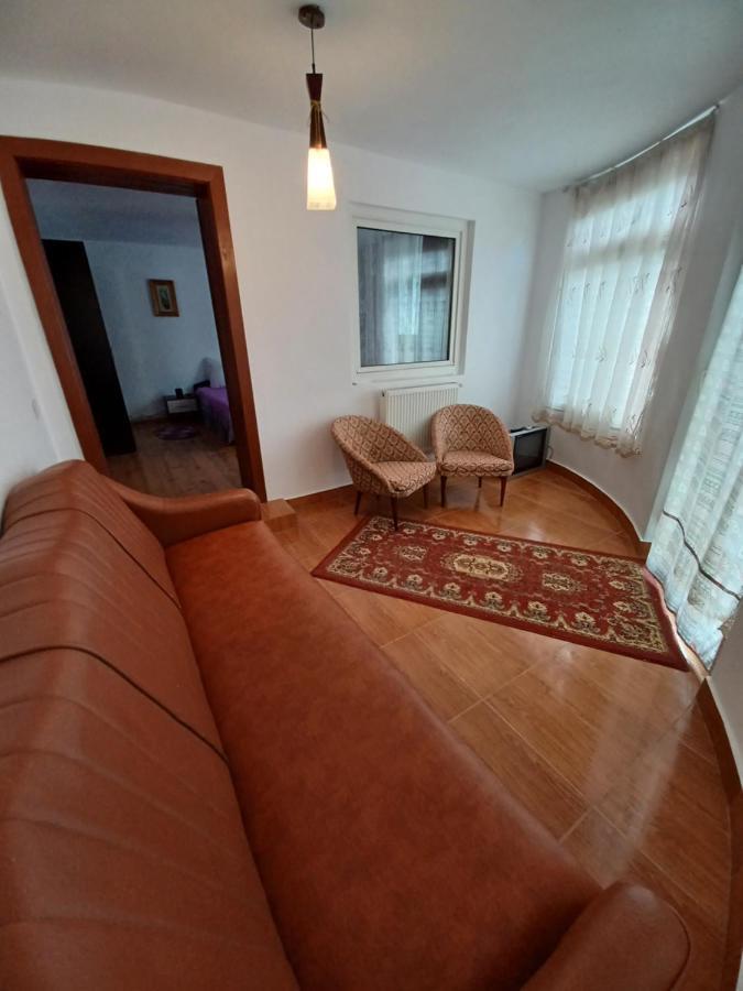 Гостевой дом Casa Pandrea Кырцишоара Экстерьер фото