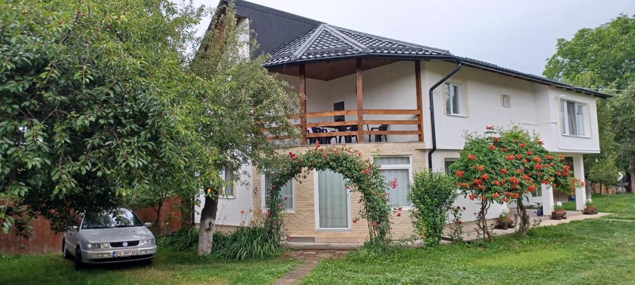 Гостевой дом Casa Pandrea Кырцишоара Экстерьер фото