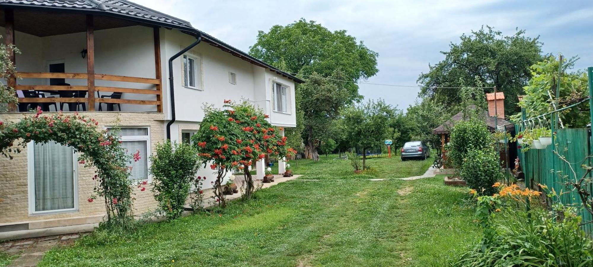 Гостевой дом Casa Pandrea Кырцишоара Экстерьер фото