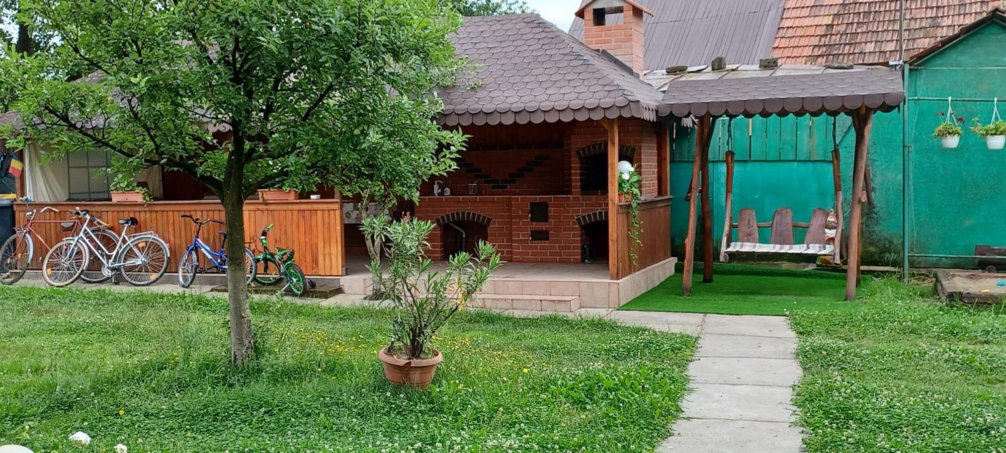 Гостевой дом Casa Pandrea Кырцишоара Экстерьер фото