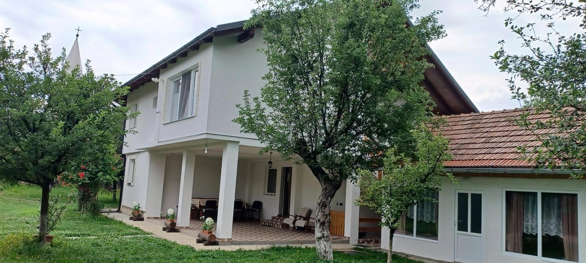 Гостевой дом Casa Pandrea Кырцишоара Экстерьер фото
